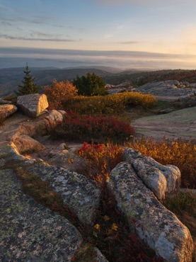 Rocky Ledge on Cadillac Mountain