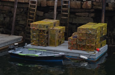 Lobster Pots Lobster Pots