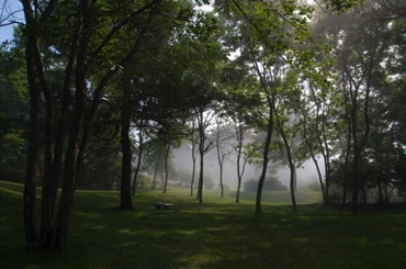 Morning Mist, York Morning Mist, York