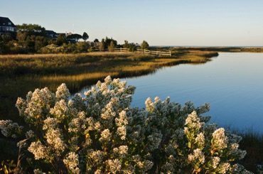 Eel Pond, Edgartown Eel Pond, Edgartown
