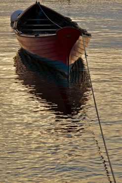 Dory in the Morning Light