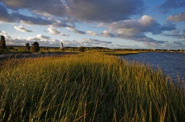 Dune Grass, Edgartown