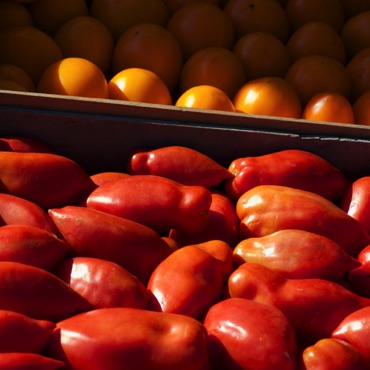 Farmers Market Farmers Market