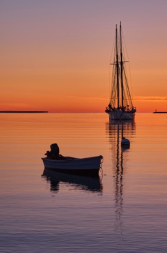 Morning Light Vineyard Haven