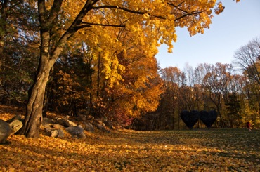Two Big Black Hearts by Jim Dine, DeCordova Sculpture Park Two Big Black Hearts by Jim Dine, DeCordova Sculpture Park