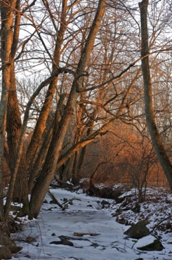 Bating Brook Bating Brook