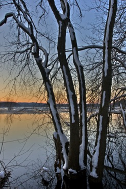 Winter Trees, Sudbury River