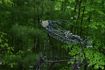 Acadian Gyro by Ed Shay, DeCordova Sculpture Park