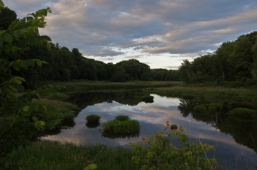 Assabet River, Evening Light Assabet River, Evening Light