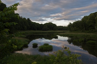 Assabet River, Evening Light