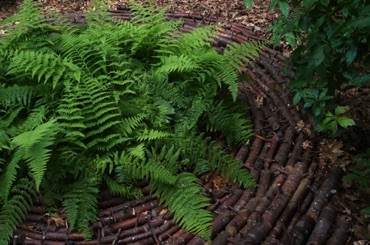 Yin Yang by W. Gary Smith, Garden in the Woods, Framingham Yin Yang by W. Gary Smith, Garden in the Woods, Framingham