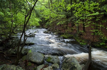 Danforth Cascades