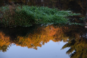 Assabet Reflection Assabet Reflection