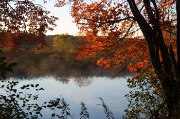 Morning on the Sudbury River, Water Row Morning on the Sudbury River, Water Row