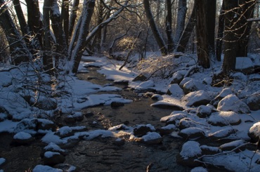 Bating Brook, Winter Bating Brook, Winter
