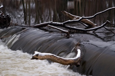 Driftwood Driftwood