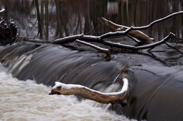 Driftwood