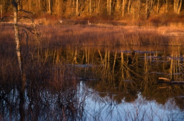 Early Light on the Sudbury River Early Light on the Sudbury River