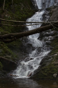 Tannery Falls Tannery Falls