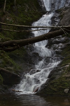 Tannery Falls