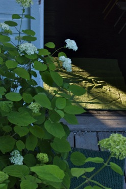 Cabin entrance, Jacobs Pillow Cabin entrance, Jacobs Pillow