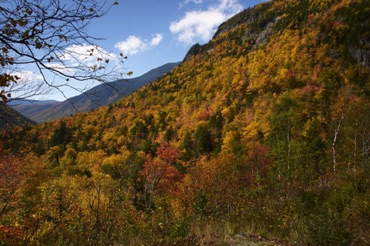 Crawford Notch Crawford Notch