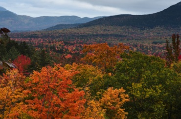 Sugar Hill Overlook