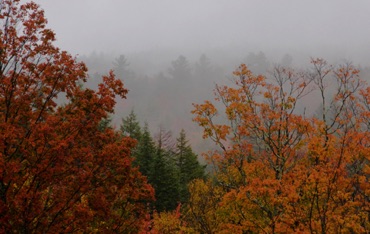 Mist at the Sugar Hill Overlook Mist at the Sugar Hill Overlook