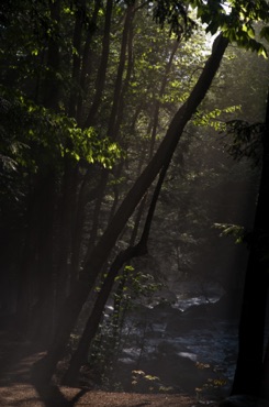 Mist on Sabbaday Brook Mist on Sabbaday Brook